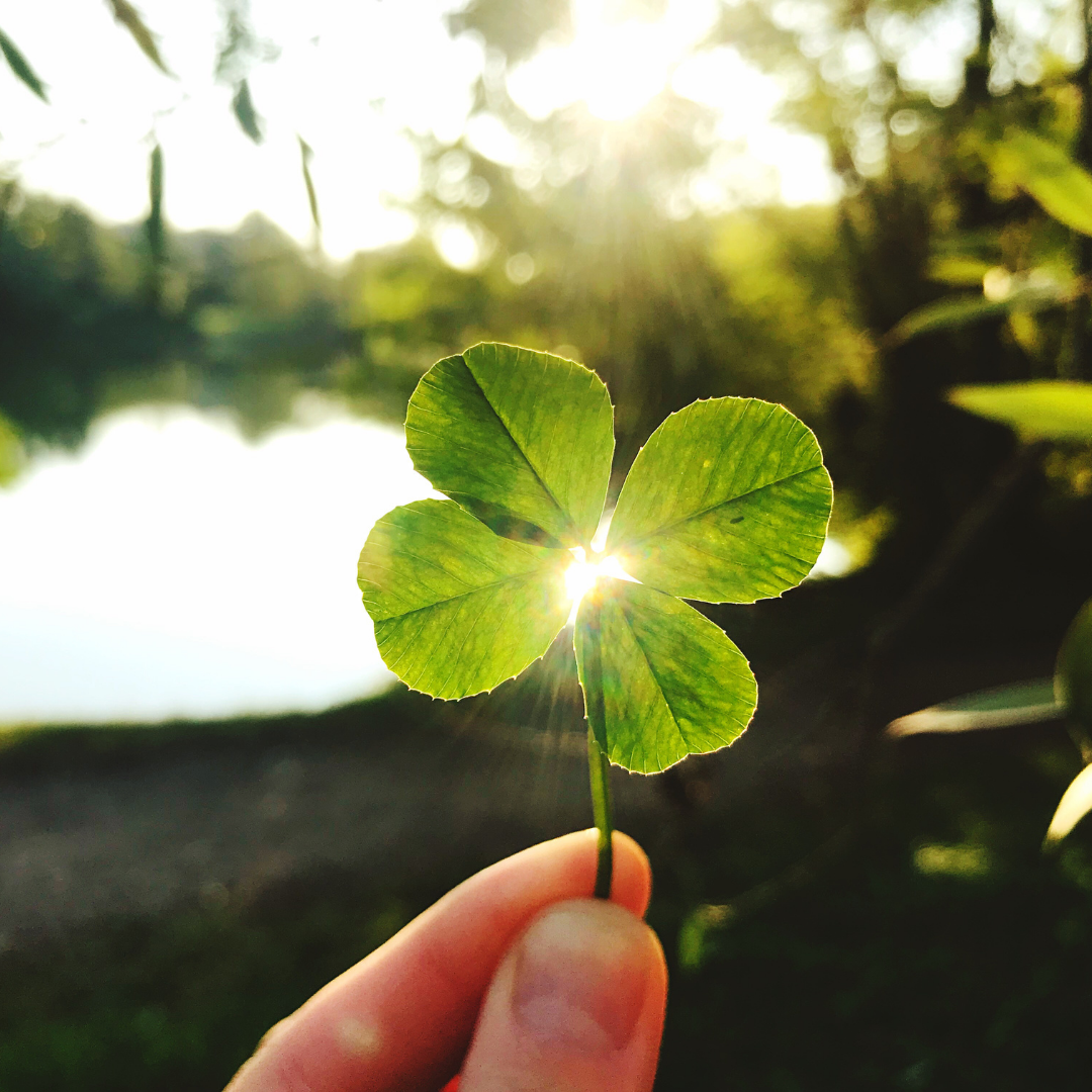 What does luck have to do with our success?