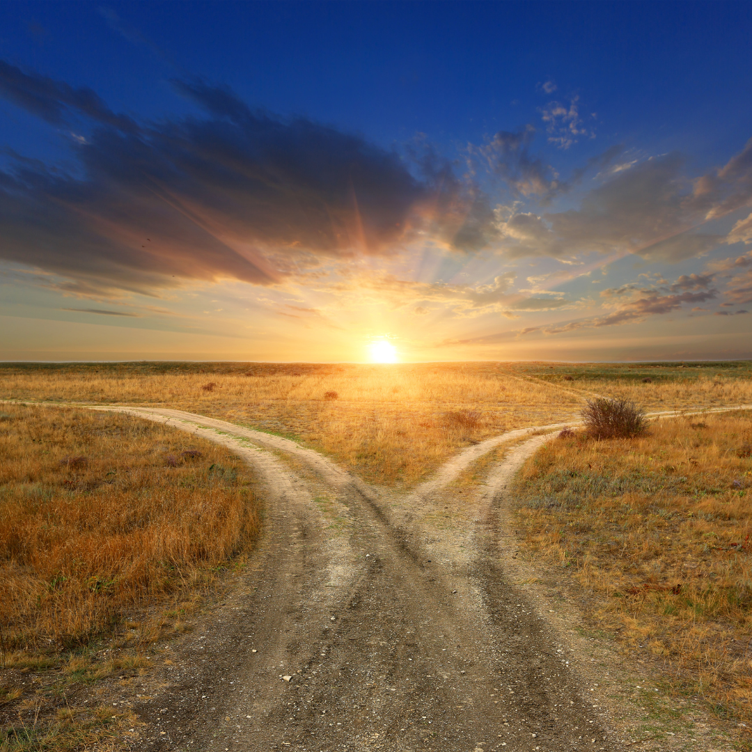 Where you invest matters just as much as what you invest in. Learn why asset location is just as key as asset allocation